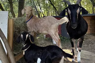 3405 CTH C, Pulaski, WI 54162 - Photo 43