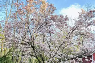 3405 CTH C, Pulaski, WI 54162 - Photo 35