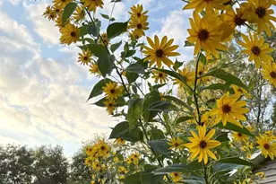 3405 CTH C, Pulaski, WI 54162 - Photo 27