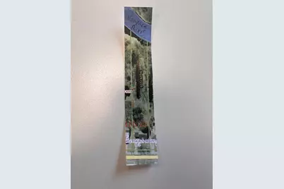 720 E Fulton Street, Waupaca, WI 54981 - Photo 7