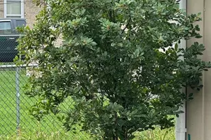 2308 N Appleton St, Appleton, WI 54911 - Photo 39