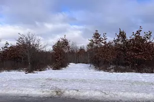 Parkway Rd, Crivitz, WI 54114 - Photo 1