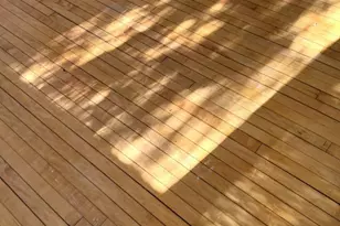 709 N Main St, Marion, WI 54950 - Photo 5