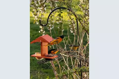 E5934 State Rd 54, Algoma, WI 54201 - Photo 45