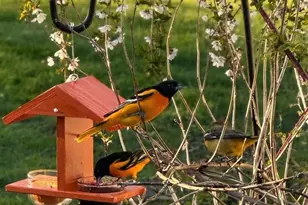 E5934 State Rd 54, Algoma, WI 54201 - Photo 45