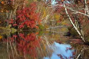 N1028 Chalet Dr, Waupaca, WI 54981 - Photo 7