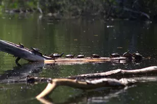 N1028 Chalet Dr, Waupaca, WI 54981 - Photo 15