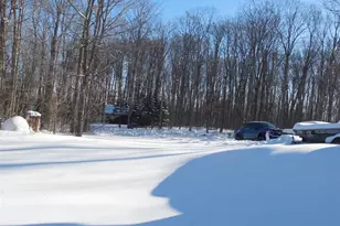 479 Deer Ln, Wabeno, WI 54566 - Photo 35