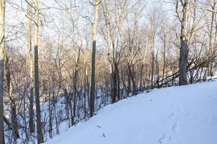 421 Fawnwood Ct, Wrightstown, WI 54180 - Photo 5