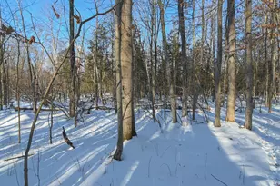 692 Bucks Ln, Little Suamico, WI 54171 - Photo 65