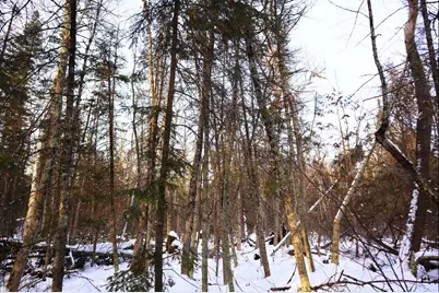 Fisher Road, Wausaukee, WI 54177 - Photo 7