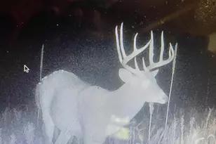 W8970 County Rd P, Almond, WI 54909 - Photo 71