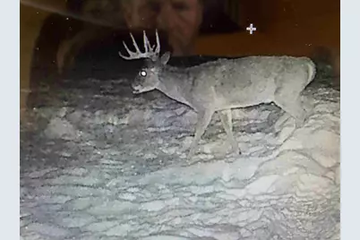 W8970 County Road P, Almond, WI 54909 - Photo 69