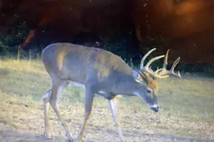 W8970 County Rd P, Almond, WI 54909 - Photo 73