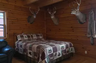 W8970 County Rd P, Almond, WI 54909 - Photo 55