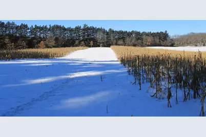 W8970 County Road P, Almond, WI 54909 - Photo 25