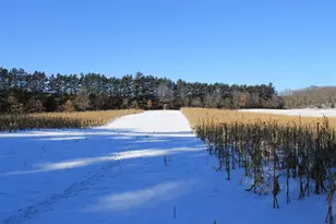 W8970 County Rd P, Almond, WI 54909 - Photo 25