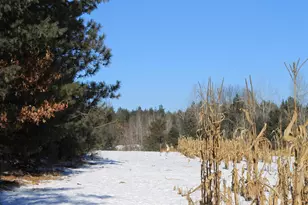 W8970 County Rd P, Almond, WI 54909 - Photo 31