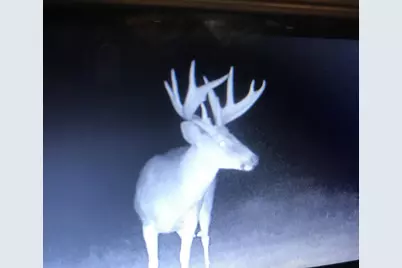 W8970 County Road P, Almond, WI 54909 - Photo 75