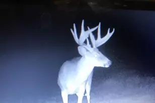 W8970 County Rd P, Almond, WI 54909 - Photo 75