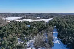 W8970 County Rd P, Almond, WI 54909 - Photo 13