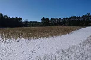 W8970 County Rd P, Almond, WI 54909 - Photo 9