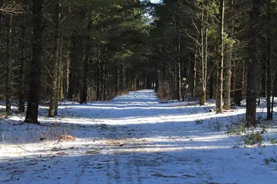 W8970 County Road P, Almond, WI 54909 - Photo 37