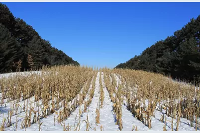 W8970 County Road P, Almond, WI 54909 - Photo 33