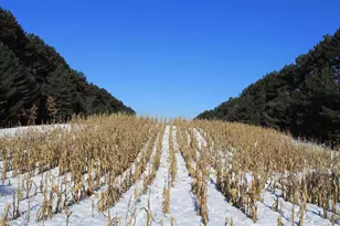 W8970 County Rd P, Almond, WI 54909 - Photo 33