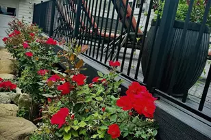 N 7853 Noquebay Rd, Crivitz, WI 54114 - Photo 71