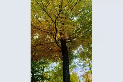 N7853 Noquebay Road, Crivitz, WI 54114 - Photo 69