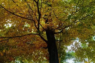 N 7853 Noquebay Rd, Crivitz, WI 54114 - Photo 69