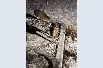 W5735 County Road E, Shawano, WI 54166 - Photo 67