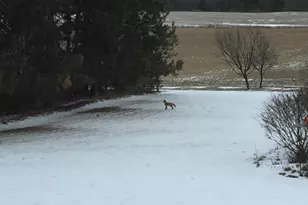 W5735 County Road E, Shawano, WI 54166 - Photo 73