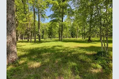 Rector Road, Wausaukee, WI 54177 - Photo 11