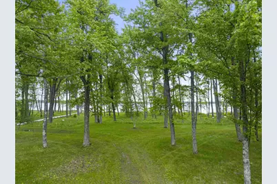 Rector Road, Wausaukee, WI 54177 - Photo 17