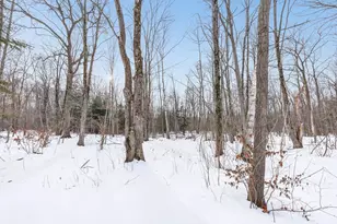 5887 State Hwy 22, Lena, WI 54139 - Photo 39