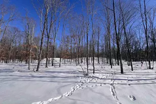 Rhett Ln, Wausaukee, WI 54177 - Photo 1