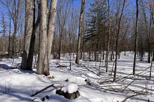 Rhett Ln, Wausaukee, WI 54177 - Photo 1