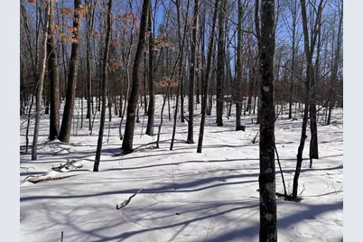 Rhett Lane, Wausaukee, WI 54177 - Photo 3