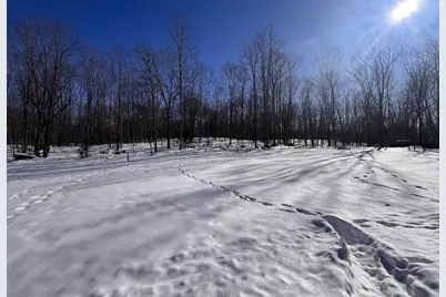 Rhett Lane, Wausaukee, WI 54177 - Photo 3