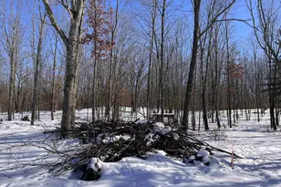 Rhett Ln, Wausaukee, WI 54177 - Photo 1