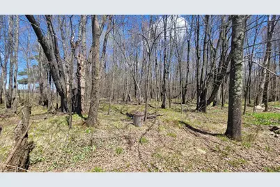 N2534 West Road, Brantwood, WI 54513 - Photo 15