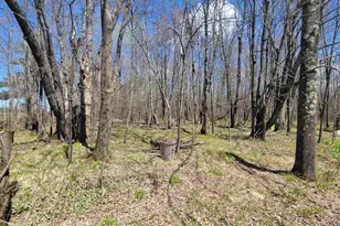 N2534 West Rd, Brantwood, WI 54513 - Photo 15