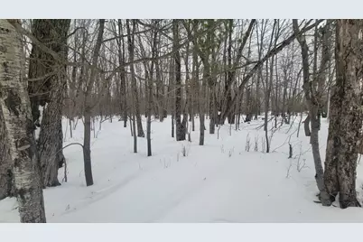 N2534 West Road, Brantwood, WI 54513 - Photo 13