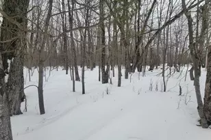 N2534 West Rd, Brantwood, WI 54513 - Photo 13