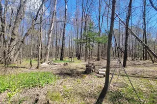 N2534 West Rd, Brantwood, WI 54513 - Photo 11