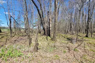 N2534 West Rd, Brantwood, WI 54513 - Photo 13