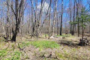N2534 West Rd, Brantwood, WI 54513 - Photo 9