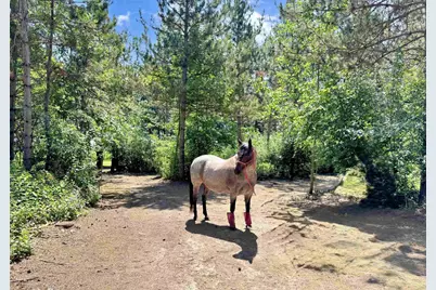 W4233 Porterfield Lake Road, Porterfield, WI 54159 - Photo 29